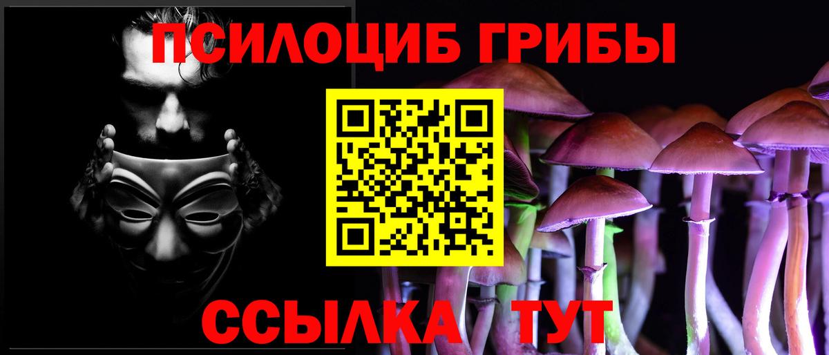 Псилоцибиновые грибы Magic Shrooms  Галлюциногенные грибы Cubensis  Карасук  Вход с VPN 