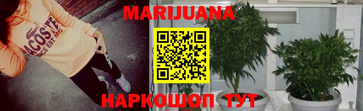 Бошки марихуана Ganja  МАРИХУАНА марихуана  Вход с VPN  Карасук 